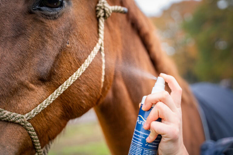 Produktfotos Puredes Horse